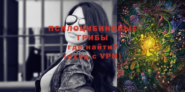 спиды Алзамай