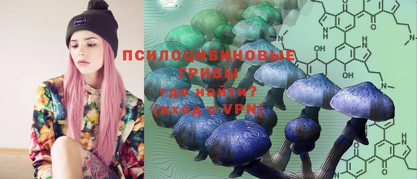 бошки Алексеевка