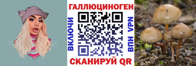 Псилоцибиновые грибы мицелий  Шатура 