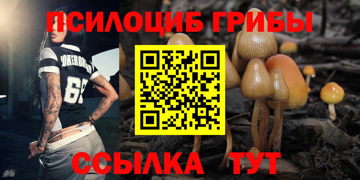 Шатура  Псилоцибиновые грибы мухоморы  Вход с VPN 
